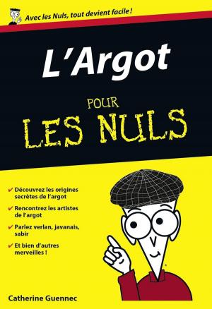 Cover of the book L'Argot Poche Pour les Nuls by Daniel APPRIOU