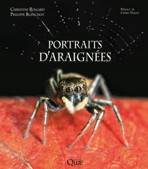 Cover of the book Portraits d'araignées by Catherine Carré, Laurence Lestel