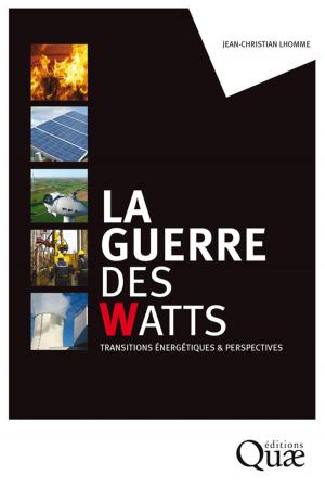 Cover of the book La guerre des watts by Florentina Moatar, Nadia Dupont