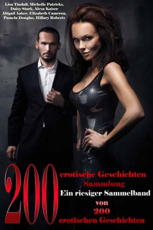Book cover of 200 Erotische Geschichten
