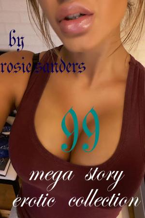 bigCover of the book 99 MEGASTORY EROTIC COLLECTION by 