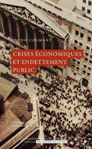 Cover of the book Crises économiques et endettement public by François de Smet