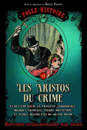 Cover of the book Folle histoire - les aristos du crime by Marion Sarazin, Delphine Barrais