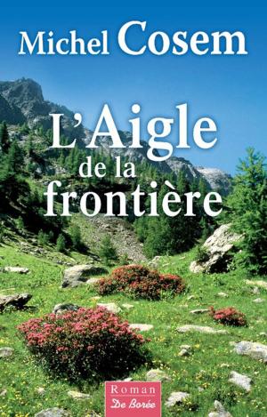 Cover of the book L'Aigle de la frontière by Marylène Pion