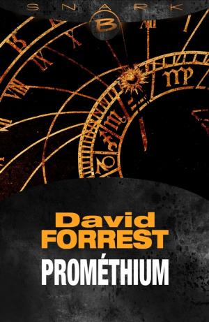 Cover of the book Prométhium by Pierre Pelot