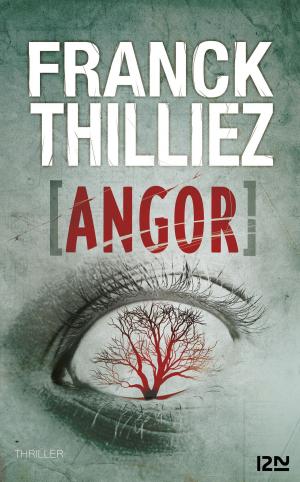 Cover of the book Angor by Nicci FRENCH