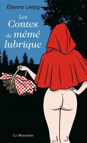 Cover of the book Les contes de mémé lubrique by Nathalie Charlier