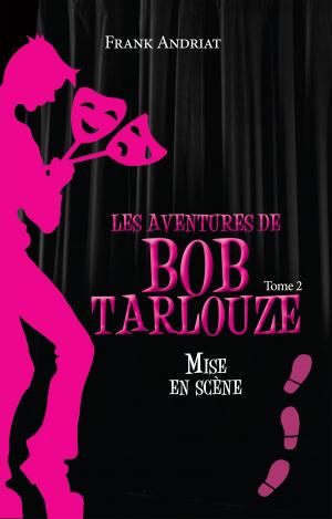 Cover of the book Mise en scène by Audrey Leblanc
