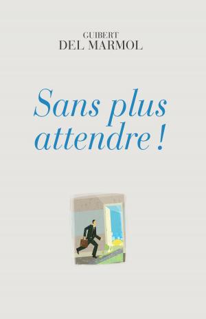Book cover of Sans plus attendre !