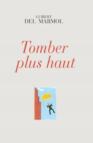 Cover of the book Tomber plus haut by K.J. Pierce