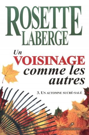 Cover of the book Un voisinage comme les autres 03 : Un automne sucré-salé by Rosette Laberge