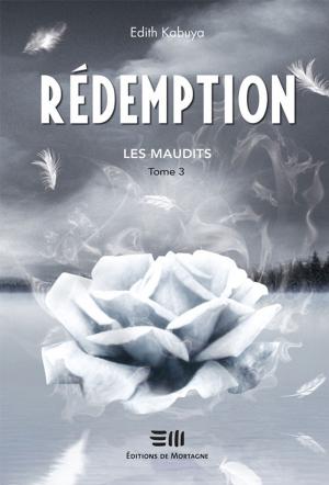 Cover of the book Rédemption, Les Maudits 03 by Johanne Pronovost