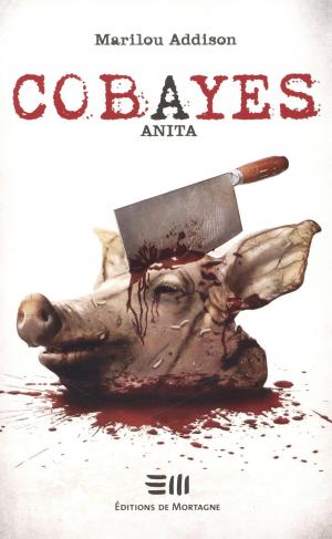 Cover of the book Anita by Ariane Hébert