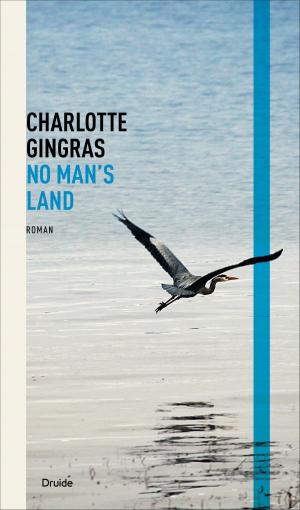 Cover of the book No man's land by Chrystine Brouillet