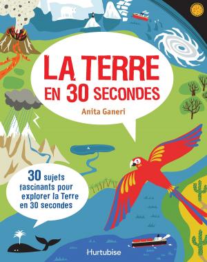 Cover of the book La terre en 30 secondes by Laurent Chabin