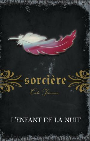 Cover of the book Sorcière by Lauren Blakely