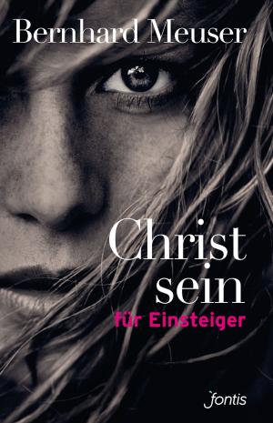 Cover of the book Christsein für Einsteiger by Raphael Müller