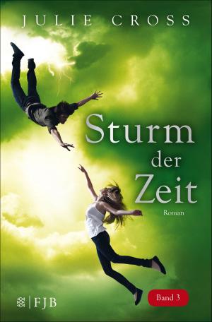 Cover of the book Sturm der Zeit by Jules Verne