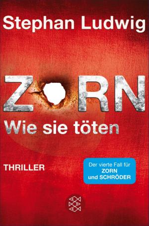 Cover of the book Zorn - Wie sie töten by Judith O'Higgins, Fred Sellin