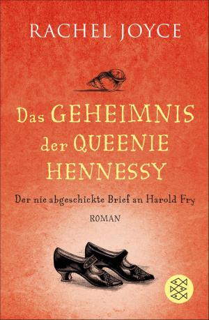 Book cover of Das Geheimnis der Queenie Hennessy