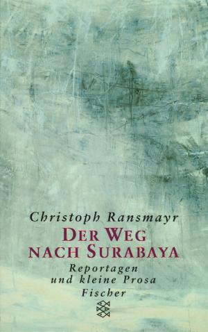 Cover of the book Der Weg nach Surabaya by Wolfgang Hilbig