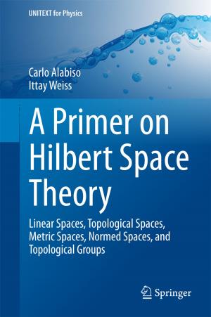 Cover of the book A Primer on Hilbert Space Theory by 