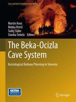 Cover of the book The Beka-Ocizla Cave System by David H. Wenkel