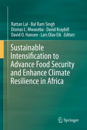 Cover of the book Sustainable Intensification to Advance Food Security and Enhance Climate Resilience in Africa by Cheryl E. Patrick