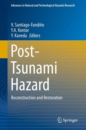 Cover of the book Post-Tsunami Hazard by Shunlin Liang, Xiaotong Zhang, Zhiqiang Xiao, Jie Cheng, Qiang Liu, Xiang Zhao