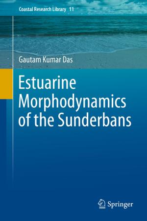 Cover of the book Estuarine Morphodynamics of the Sunderbans by Catherine S. Namakula