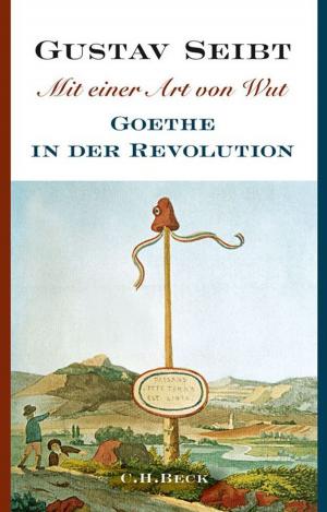 Cover of the book Mit einer Art von Wut by Lisa Warnecke