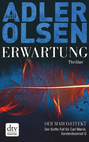 Cover of the book Erwartung DER MARCO-EFFEKT by Robert Zimmer