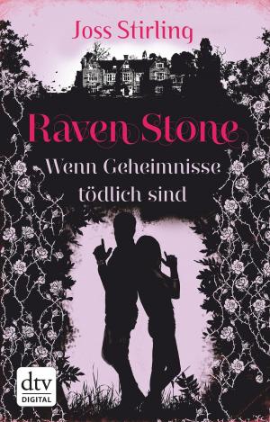 Cover of the book Raven Stone - Wenn Geheimnisse tödlich sind by Christian Linker
