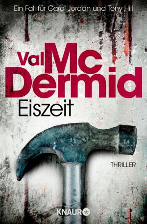 Cover of the book Eiszeit by Daniel Holbe