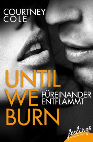 Cover of the book Until We Burn - Füreinander entflammt by Tanja Bern