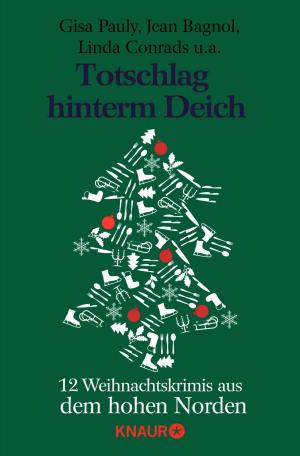 Book cover of Totschlag hinterm Deich