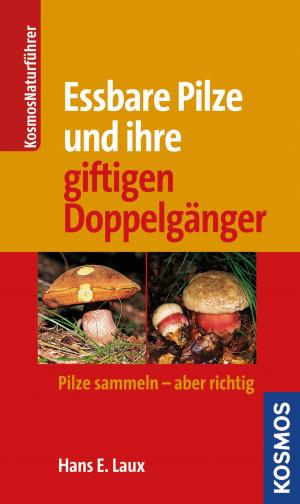 Cover of the book Essbare Pilze und ihre gifitigen Doppelgänger by Kirsten Vogel