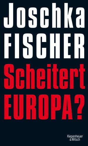 Cover of the book Scheitert Europa? by Helge Schneider