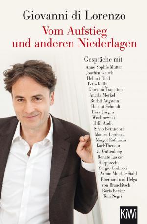 Cover of Vom Aufstieg und anderen Niederlagen