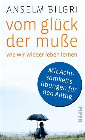 Book cover of Vom Glück der Muße