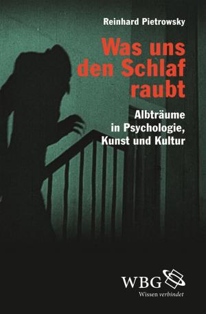 Cover of Was uns den Schlaf raubt