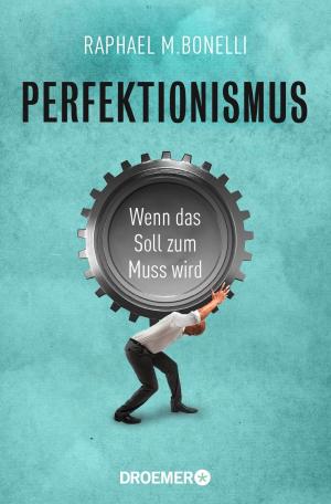 Cover of the book Perfektionismus by Paul Dolan