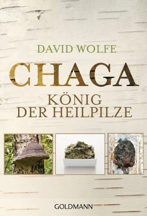 Cover of the book Chaga by Harald Lesch, Jörn Müller