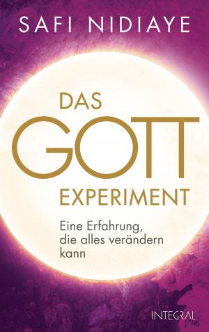 Book cover of Das Gott-Experiment