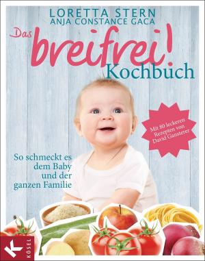 Cover of the book Das breifrei!-Kochbuch by Stephan Leimgruber