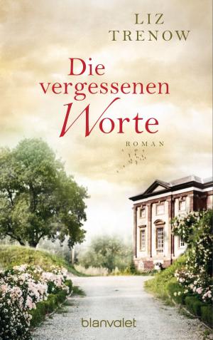 Cover of the book Die vergessenen Worte by Lindsey Kelk