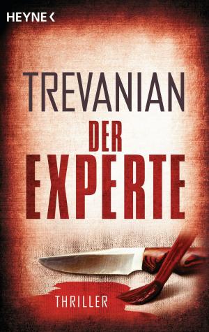 Cover of the book Der Experte by Cixin Liu
