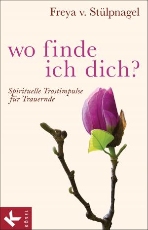 Cover of the book Wo finde ich dich? by Regina Masaracchia