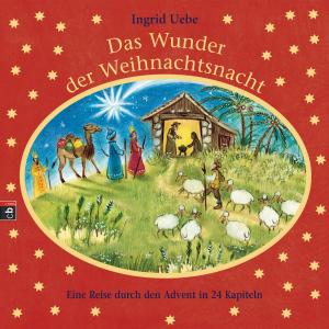 Book cover of Das Wunder der Weihnachtsnacht