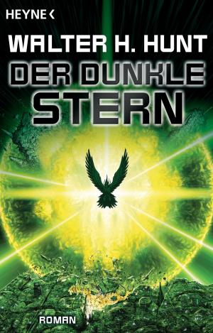 Cover of the book Der dunkle Stern by John Birmingham